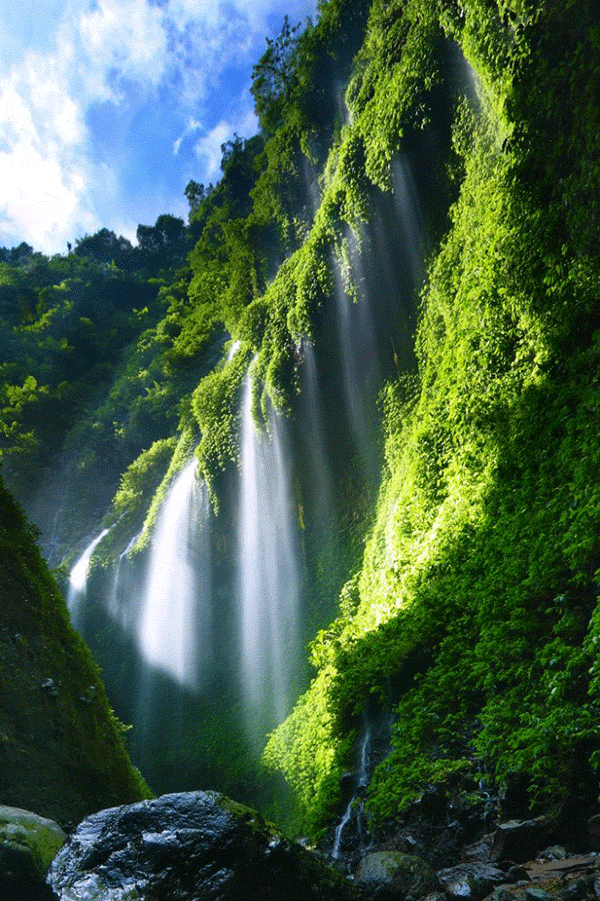 Madakaripura Waterfall
