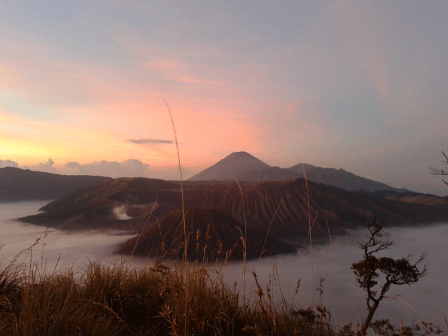 bromo ijen tours