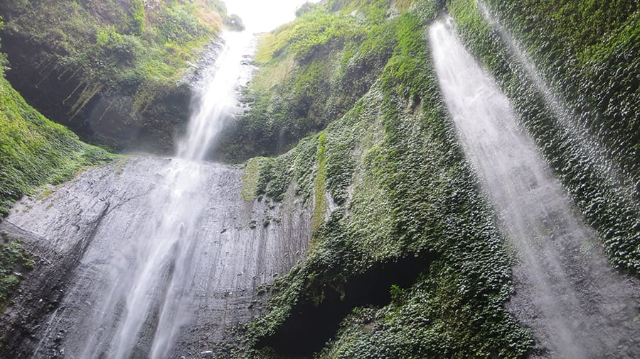 Madakaripura Waterfall Tour - Madakaripura Waterfall Tour